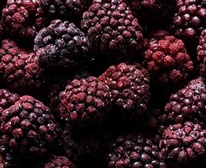 IQF Frozen fruit Cultivated Blackberries ponthier