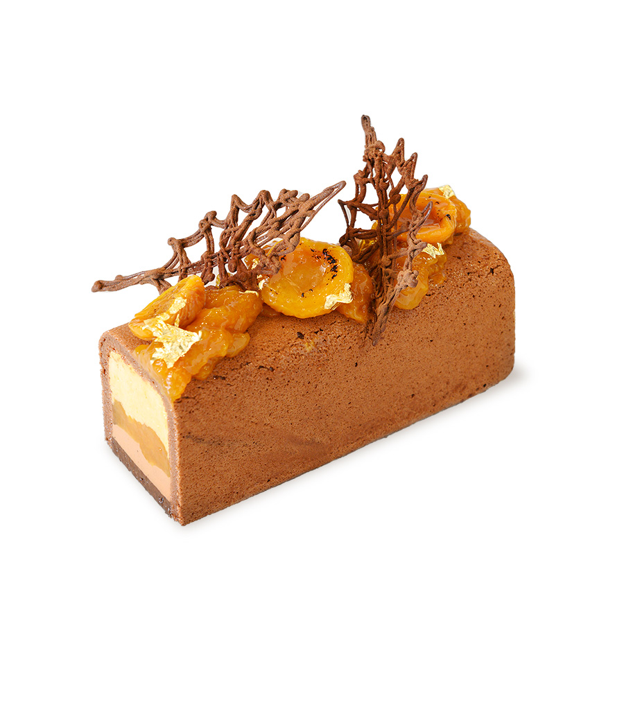 Ponthier - Apricot, chocolate and five-spice log
