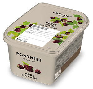 Gefrorene Fruchtpürees 1kg Kultivierte Brombeere ponthier